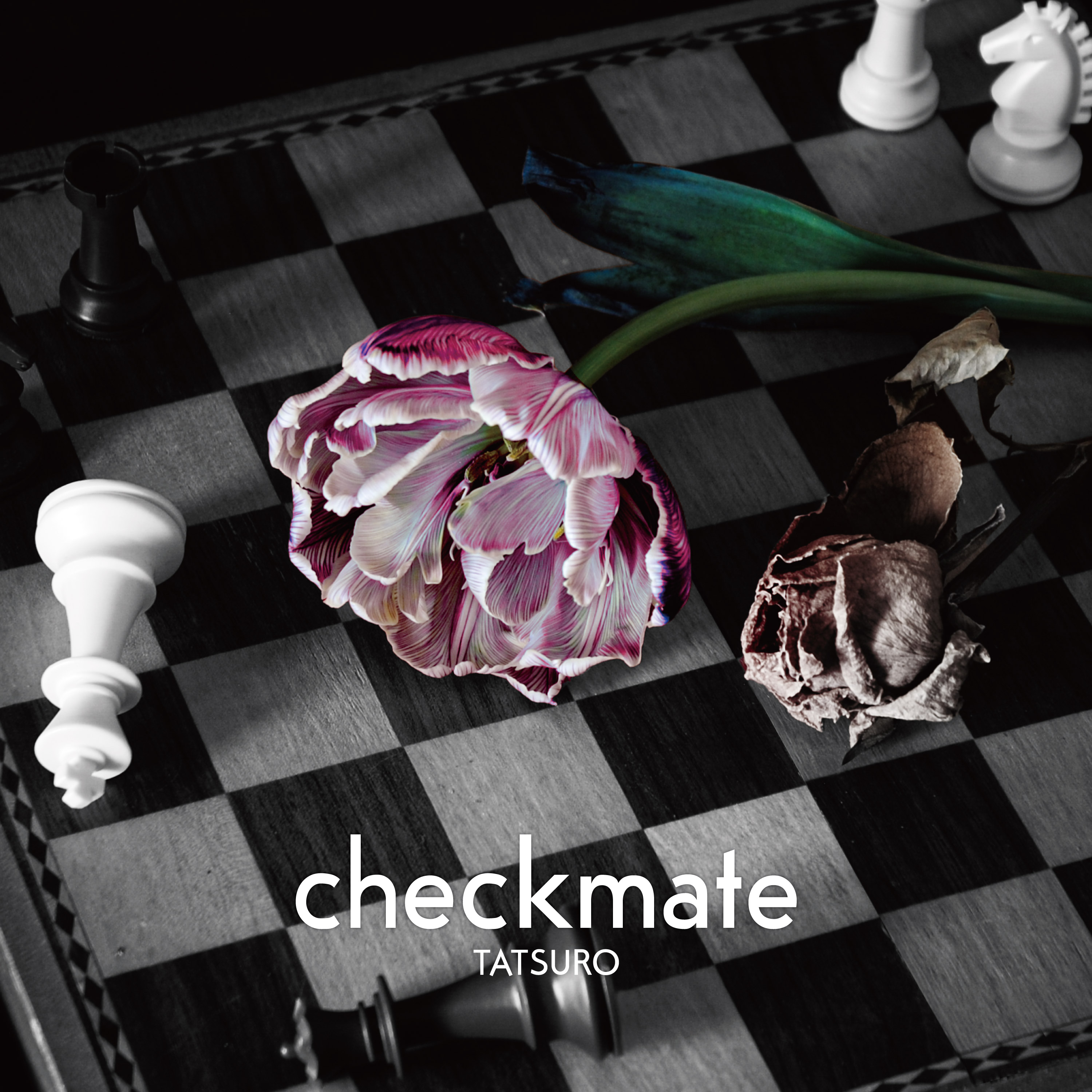 checkmate【TYPE-B】