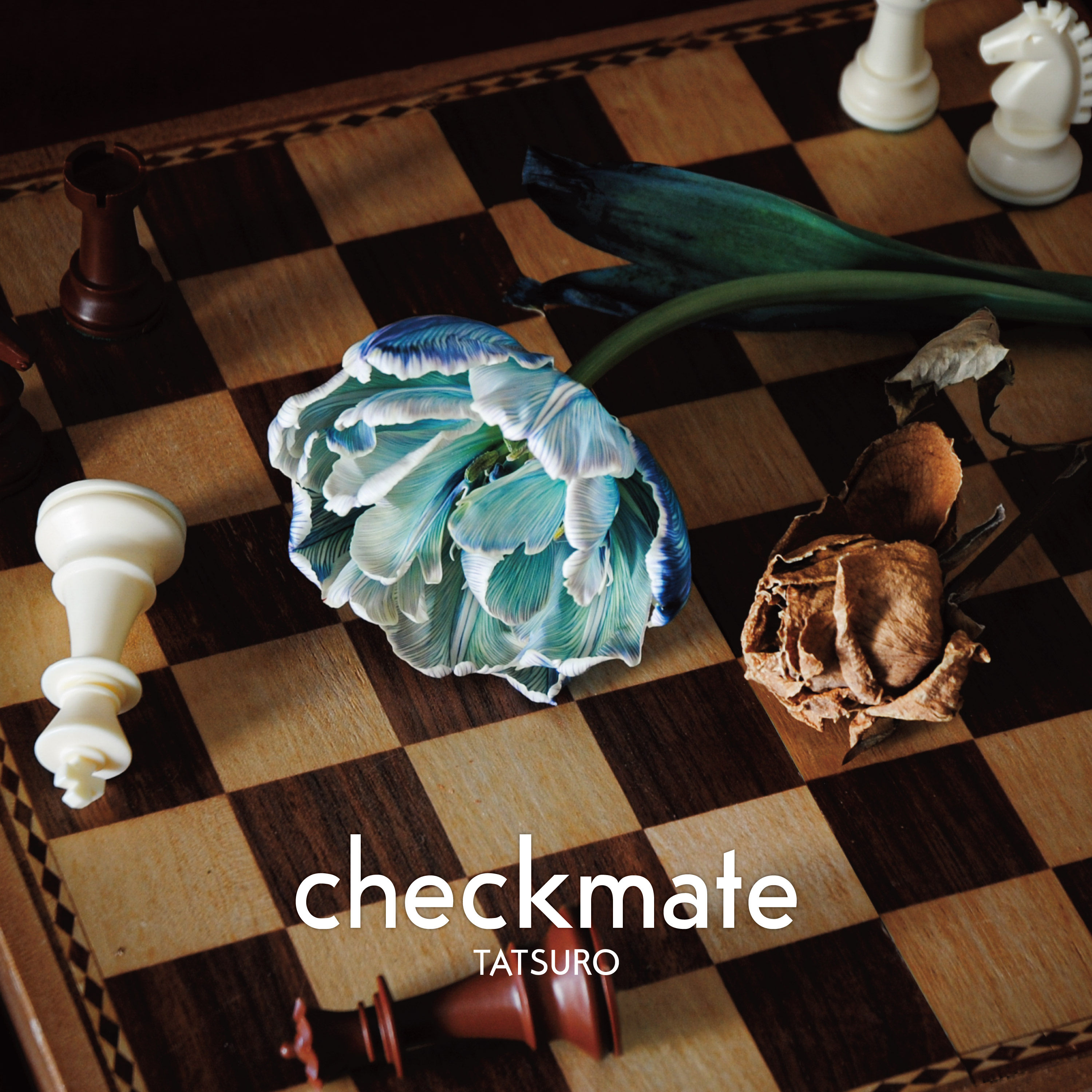 checkmate【配信】